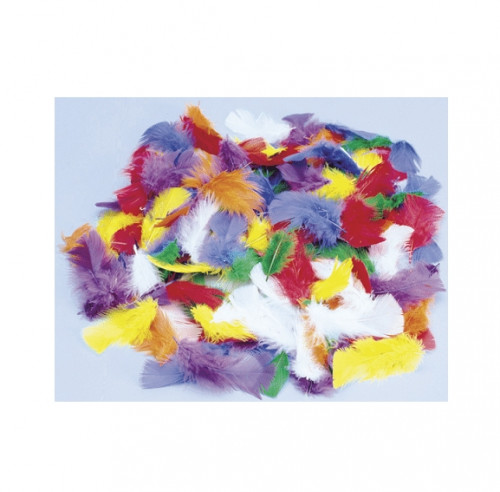 Plumas decorativas arco iris